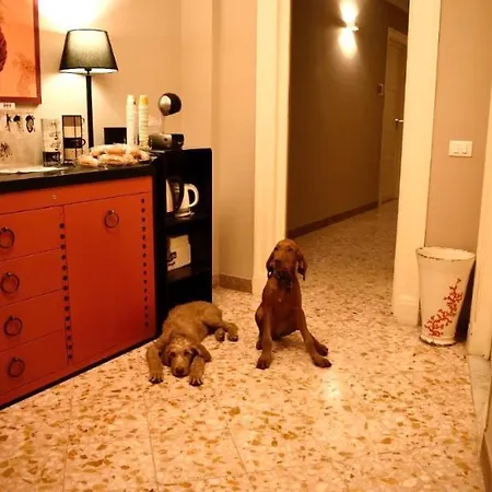 Due Cani Palerme