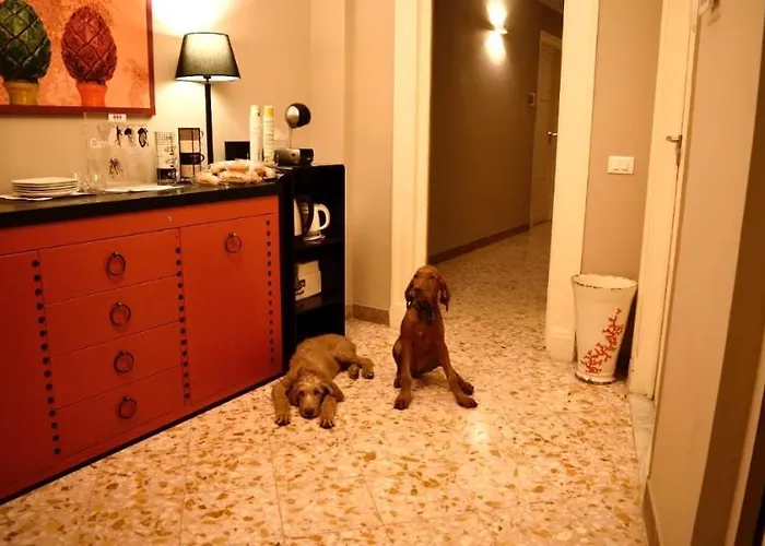 Due Cani Palermo